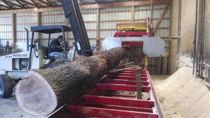 Loading Log onto Sawmill