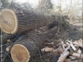 Cherry and Poplar log ends