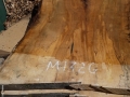 Maple 132 G