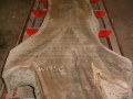 Walnut 145 C