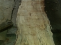 maple slab