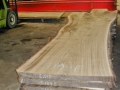 large elm milled into slabs